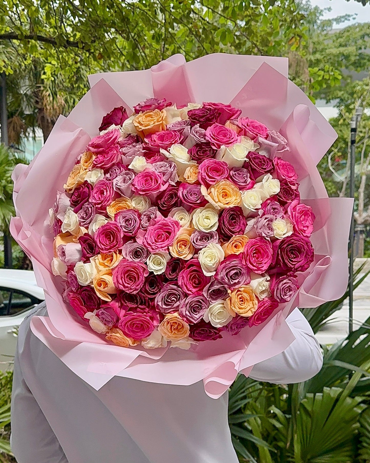 150-200 Count Long Stem Roses